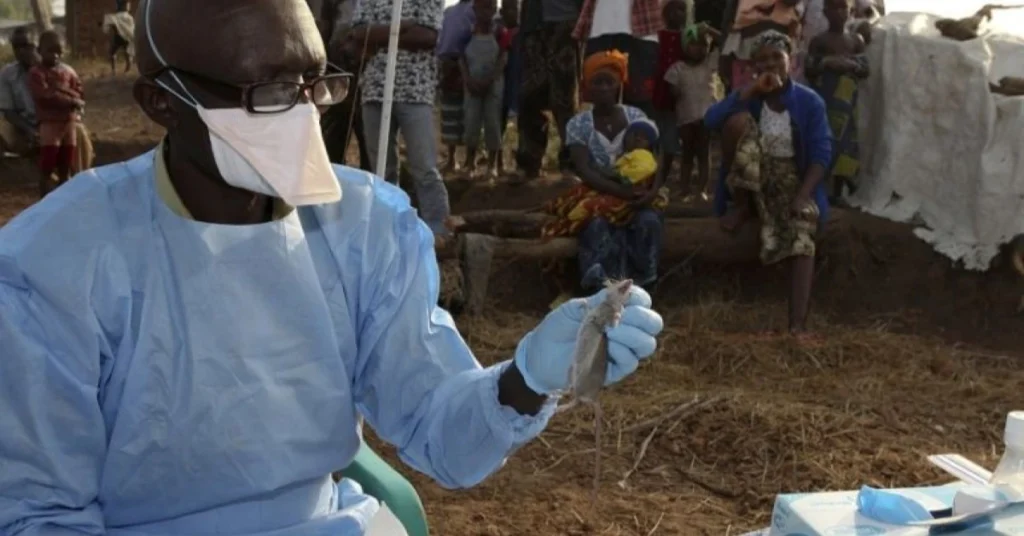 Lassa fever claims 127 lives in Nigeria amid rising cases